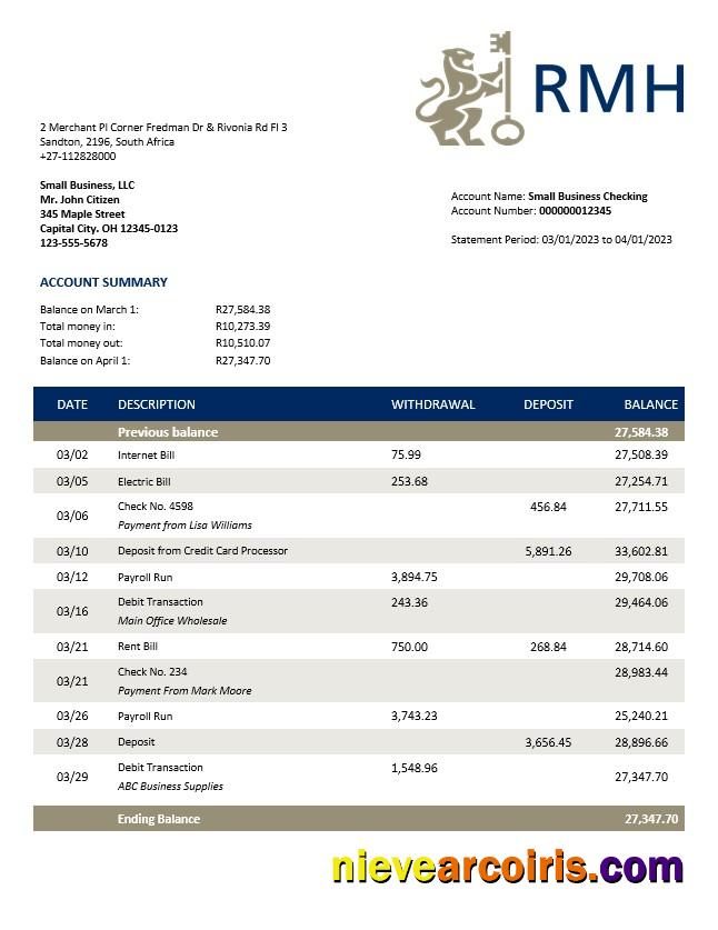 Rand Merchant Bank enterprise account statement